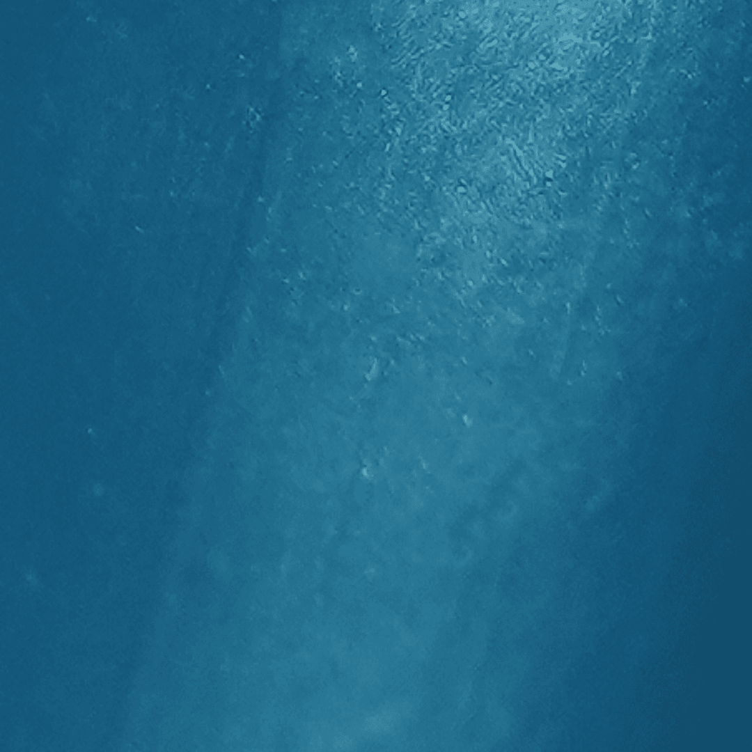 Coextruded sheath